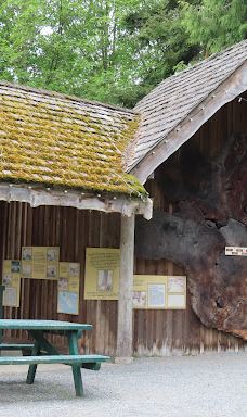 Sooke Region Museum & Visitor Centre-苏克