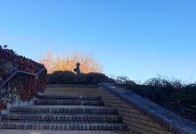 Rutherford Memorial Grounds景点图片