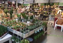 Hageland Voss购物图片