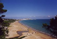 "Dzika plaża"Jezioro Miedwie Morzyczyn景点图片