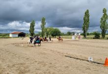 Ferme du Marais de Mazerolles景点图片