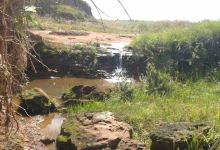 Turismo Rural Fazenda Santa lucia景点图片