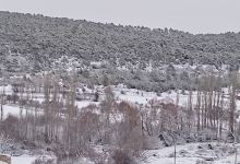 Musalla Cami景点图片