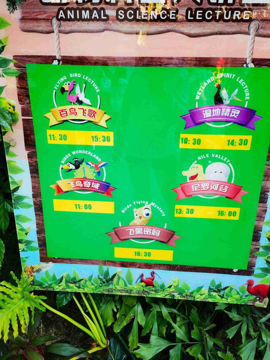 长隆飞鸟乐园景点图片 16
