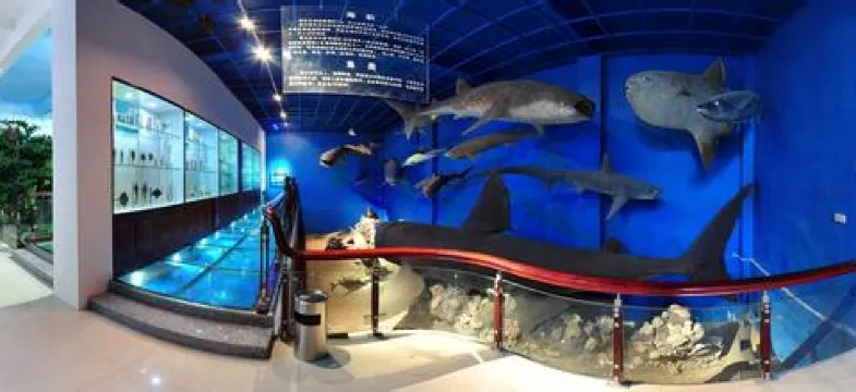 溫州金洲動物博物館