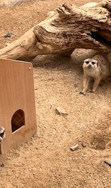 Asan Ecological Environment Insect Museum-牙山市