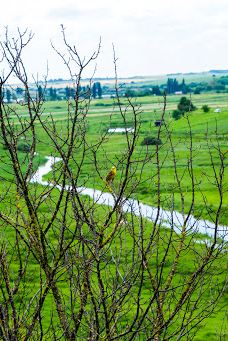 Bilivsʹke Horodyshche-罗夫诺区