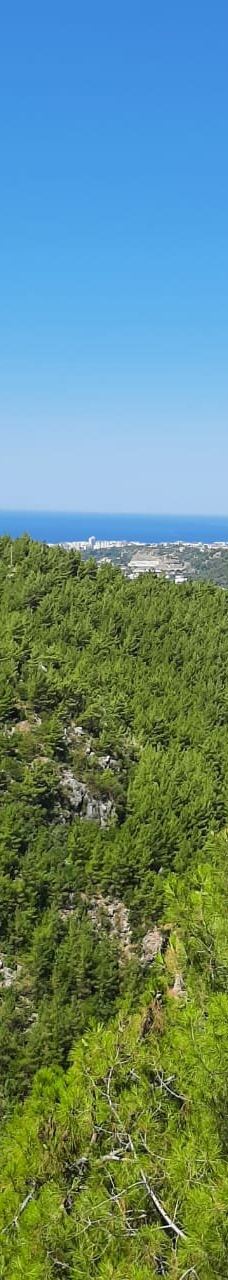 Dim钟乳岩洞-阿拉尼亚