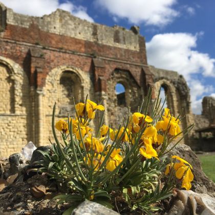 英国伦敦+坎特伯雷+多佛尔+南安普敦+牛津11日10晚私家团