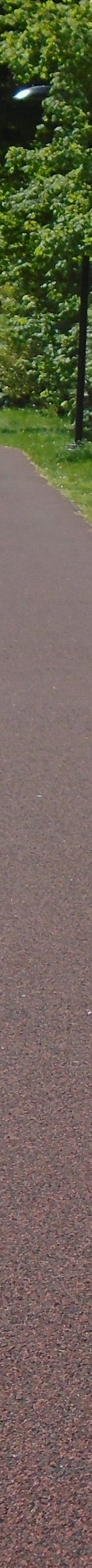 中央公园-本那比