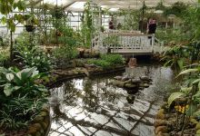 Garden of butterflies景点图片
