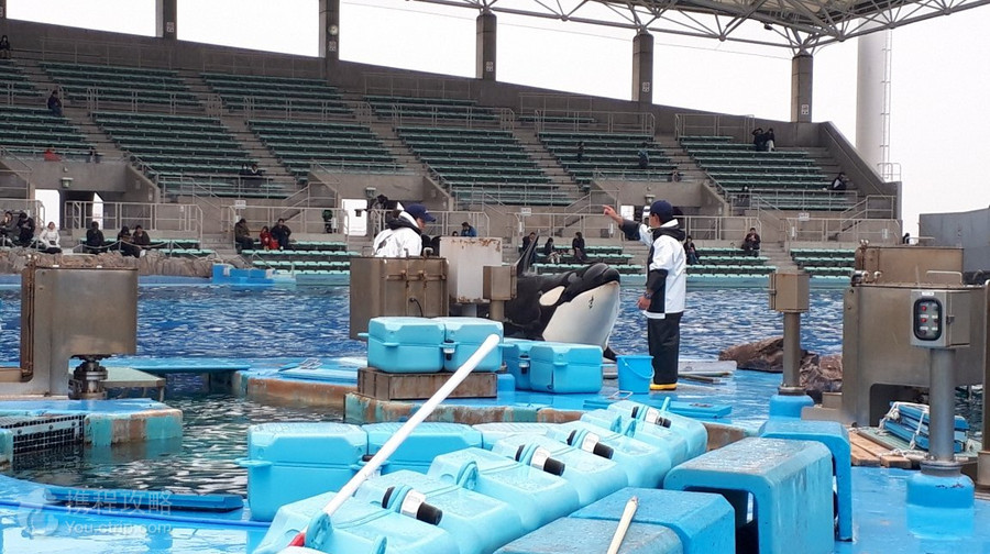 名古屋港水族館