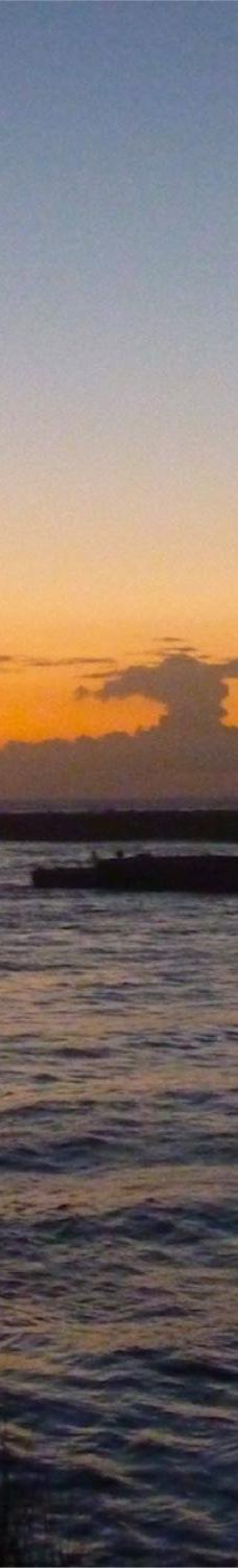 South Beach State Park-纽波特