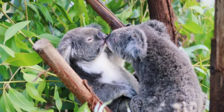 熱帶雨林自然公園