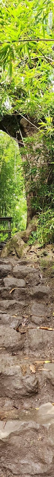 皮皮崴小径-茂宜县