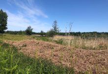 Thorne and Hatfield Moors景点图片