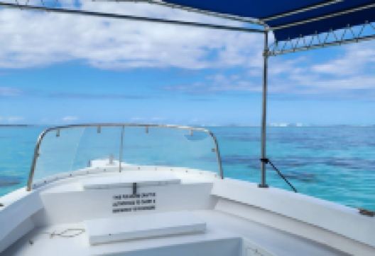 蓝湾海洋公园景点图片