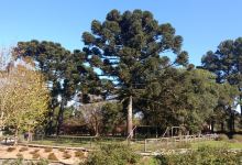 Adega Porto Brazos (Loja)购物图片