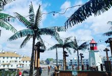 Pirate Island Miniature Golf景点图片