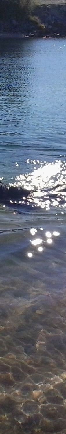 Big Bend of the Colorado-拉芙琳