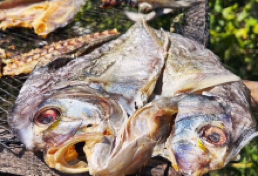 Ban Nam Khem Tsunami Memorial Center景点图片