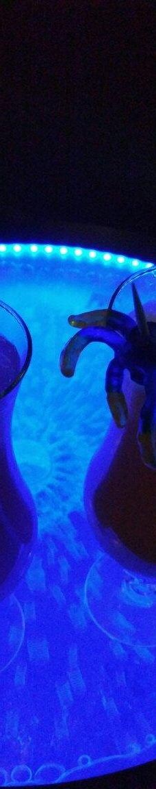 L'Alchimiste-斯特拉斯堡