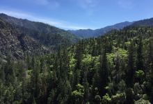 Six Rivers National Forest景点图片