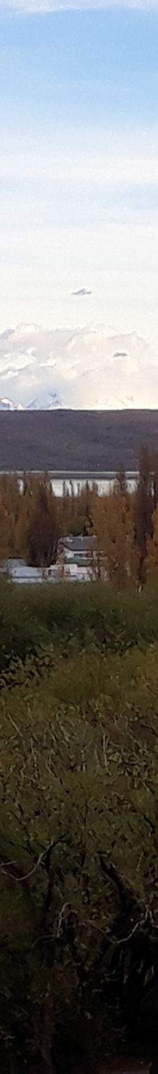 Plaza de Los Pioneros-埃尔卡拉法特