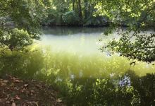 Voie Verte des Berges de l'Isle景点图片