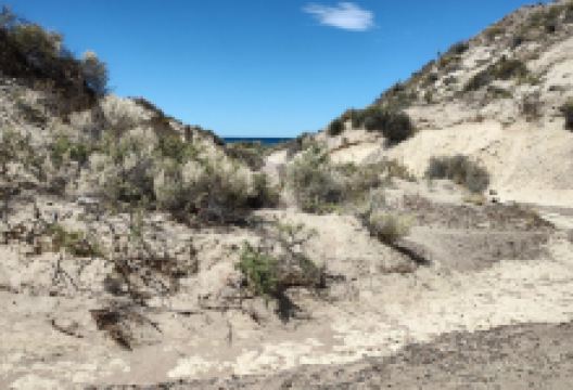 El Sotano y Canadon de las Ostras景点图片