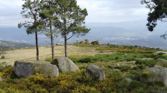 Serra do Ladário