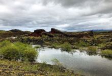 Heidmork Nature Reserve景点图片