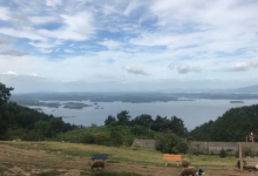 Yang Mori School景点图片