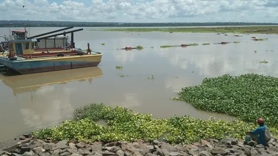 Batujai Dam