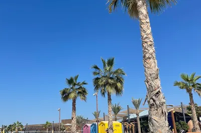 Al hudayriat island beach