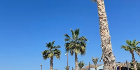 Al hudayriat island beach