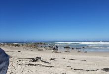 Silver Sands Beach景点图片