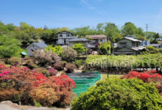 早岛公园景点图片