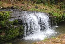 Cachoeira Pedroso景点图片