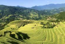 Ruộng bậc thang Nậm Khòa景点图片