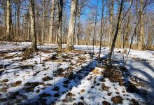 Sugarbush Heritage Park景点图片