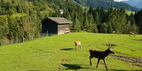 Wildpark Wildbichl