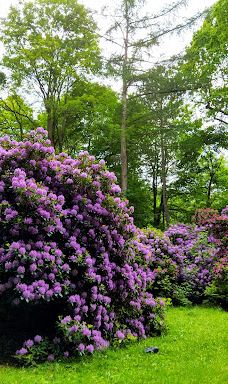 Stadt Park-开姆尼茨