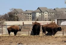 Frontier Historical Park景点图片
