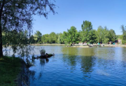 Abaligeti lake景点图片