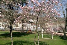 Botanical Garden景点图片