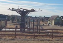 Future Park aka Antelope Hills Community Park景点图片