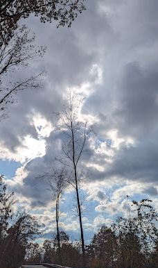 Mount Tom State Reservation-霍利奥克