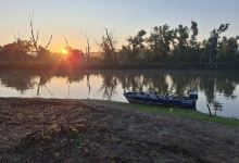 Delaware River Island Wetland (Perry Wildlife Area)景点图片