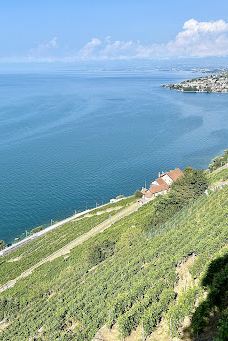 Terrasses viticoles de Lavaux-Lavaux-Oron District